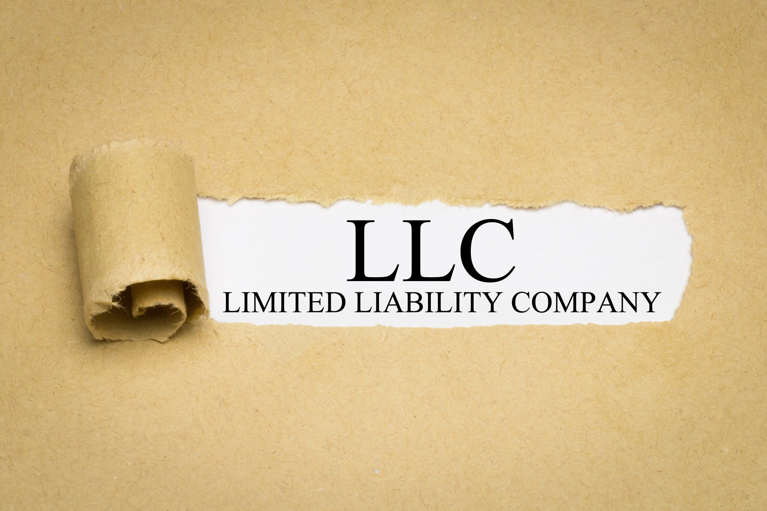 LLC (Limited Liability Company)